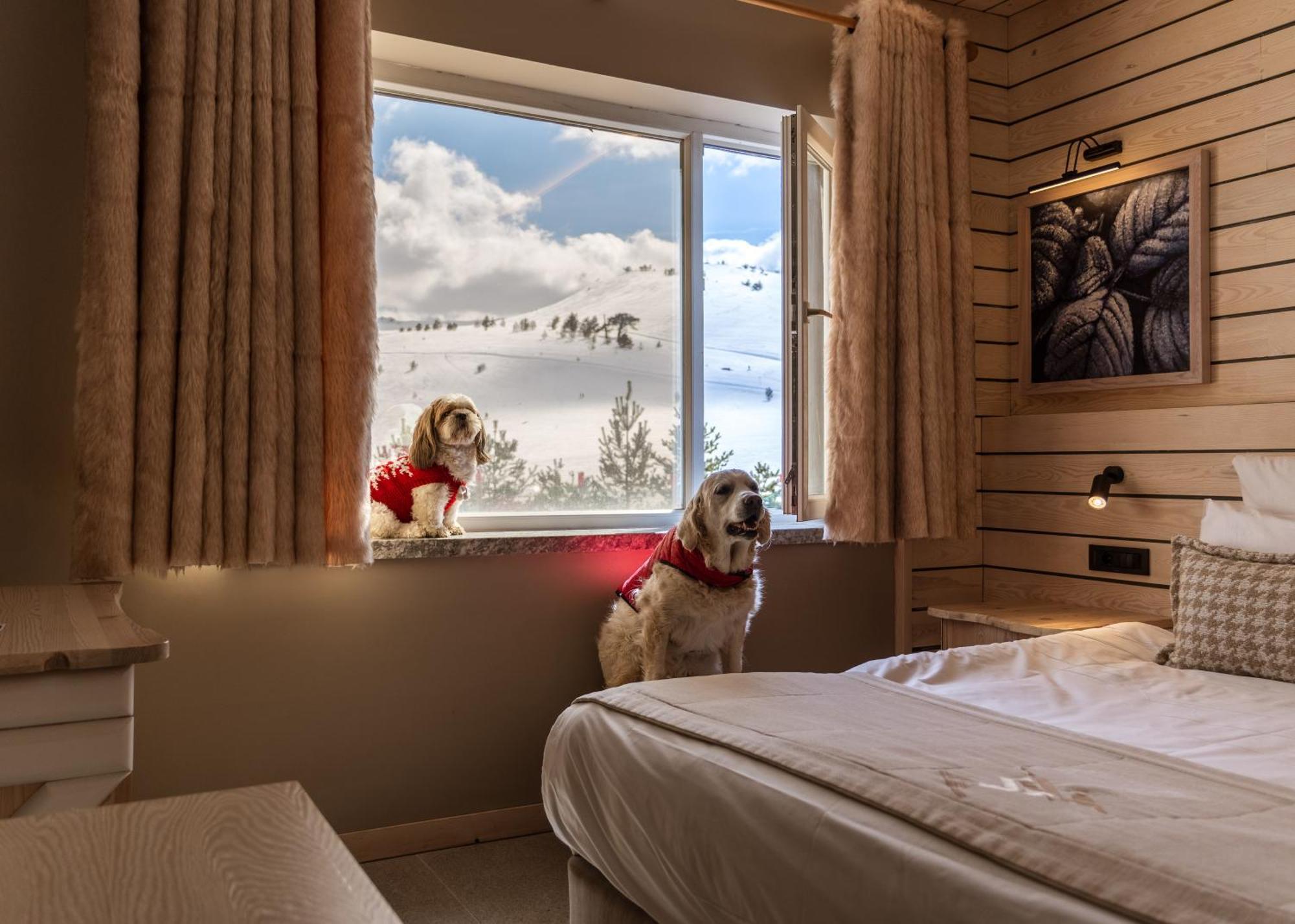 Kartal Hotel Kartalkaya Esterno foto